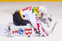 EC hagn_leone-Dornbin-FBI VEU Feldkirch
